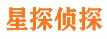 光山侦探